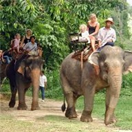 Elephant Riding and Hiking
